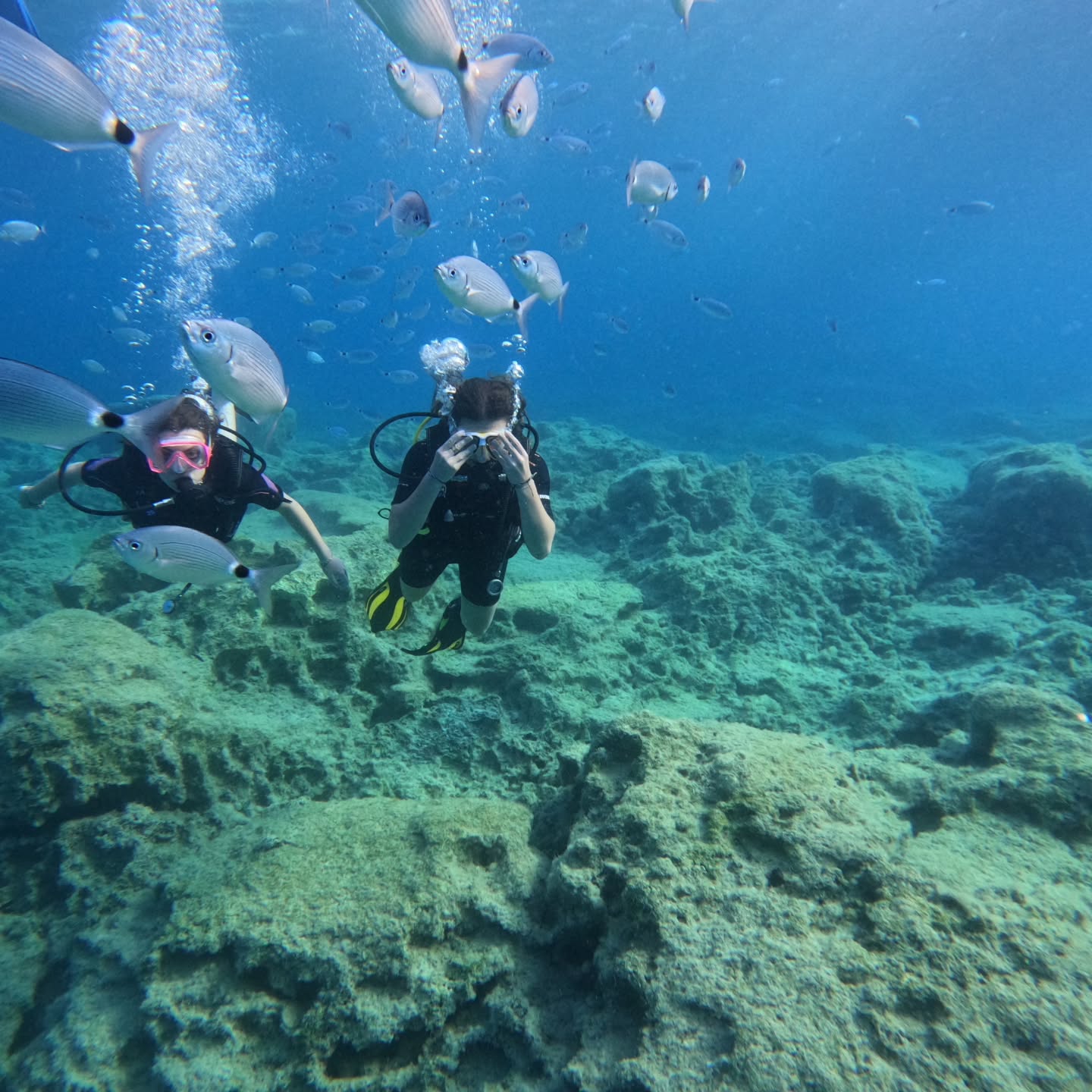 MADRİD BARSELONA TARRAGONA